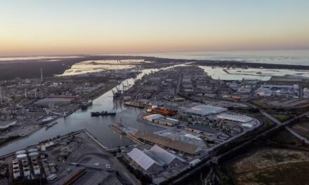 Il porto di Ravenna completa i progetti PNRR per 60 milioni<h2 class='anw-subtitle'>Ultimati nove interventi: transizione energetica, digitalizzazione, cybersecurity e sostenibilità</h2>